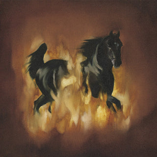 The Besnard Lakes- The Besnard Lakes Are The Dark Horse