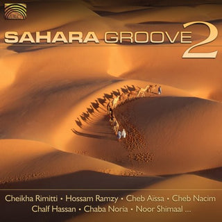 the album cover for Sahara Groove - Sahara Groove, Vol. 2