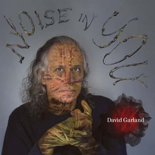 the album cover for David Garland - Noise in You