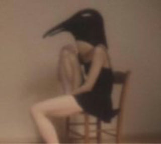 the album cover for The Penguin Cafe Orchestra - Penguin Cafe Orchestra