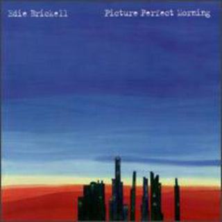 the album cover for Edie Brickell - Picture Perfect Morning