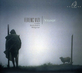 the album cover for Ferenc Vizi - Voyage