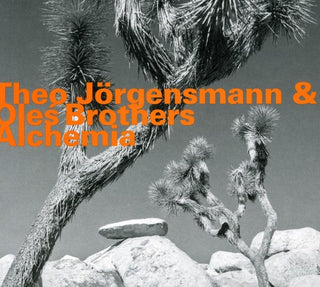 the album cover for Theo JÃ¶rgensmann - Alchemia