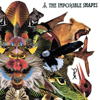 the album cover for Impossible Shapes - The Impossible Shapes