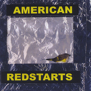 the album cover for Paul Sigismondi - American Redstarts