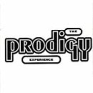 Prodigy- Experience