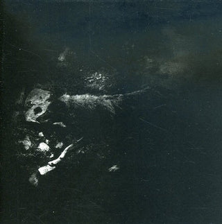 the album cover for October Falls - The Womb Of Primordial Nature