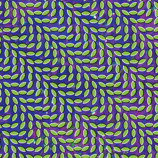 Animal Collective- Merriweather Post Pavilion (CD)