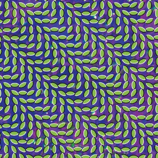 the album cover for Animal Collective - Merriweather Post Pavillion