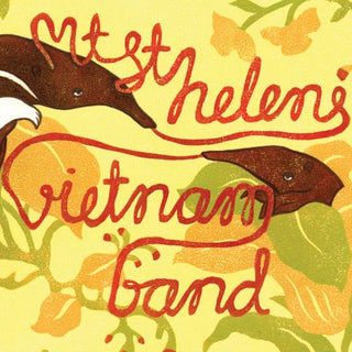 the album cover for Mt St Helens Vietnam Band - Mt. St. Helens Vietnam Band