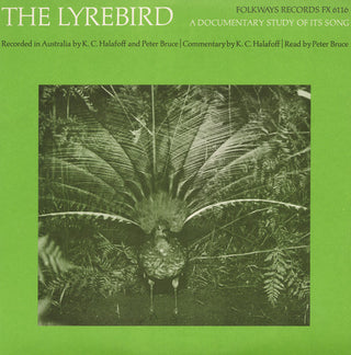 the album cover for P Bruce - The Lyrebird: A Documentary Study of It's Song