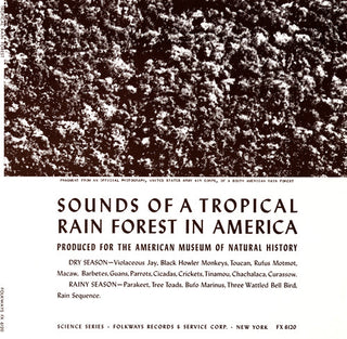 the album cover for Sounds Of A Tropical Rain Forest Produced For The - Tropical Rain Forest / Various
