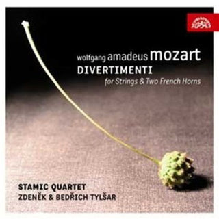 the album cover for Zdenek Tylsar - Divertimento for Strings & Two French Horns