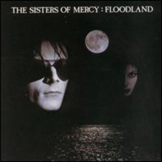 the album cover for The Sisters Of Mercy - Floodland