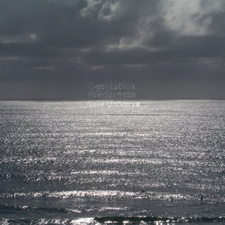 the album cover for Desolation Wilderness - New Universe