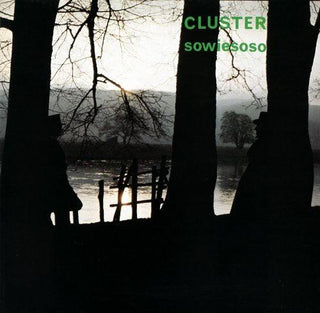 Cluster- Sowiesoso