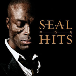 the album cover for Seal - Hits