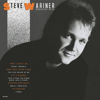 the album cover for Steve Wariner - Greatest Hits