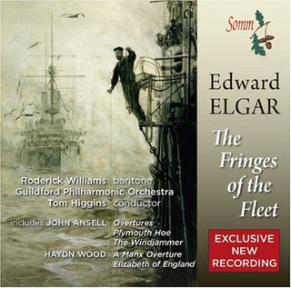the album cover for Tom Higgins - Fringes of the Fleet
