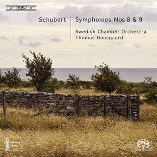 the album cover for K Riisager - Symphony Nos 8 & 9