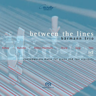the album cover for Barmann Trio - Between the Lines