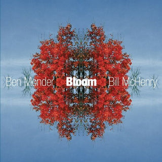 the album cover for Ben Monder Trio - Bloom