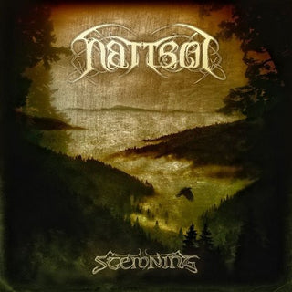 the album cover for NÃ ttsÃ²l - Stemning