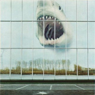 the album cover for Black Mountain - Wilderness Heart [Digipak]