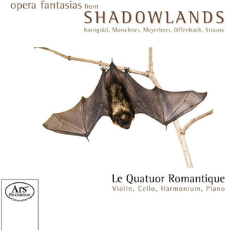the album cover for Le Quatuor Romantique - Opera Fantasies from Shadowlands