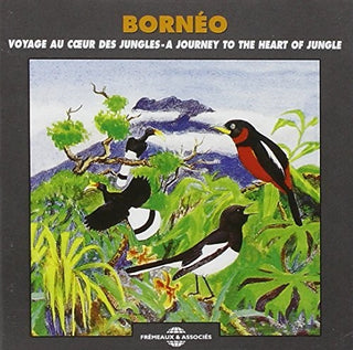 the album cover for Sounds Of Nature - Borneo: Journey Heart of Jungle