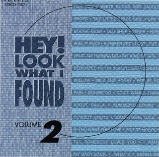 the album cover for Hey Look What I Found - Hey Look What I Found 2 / Various