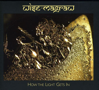 the album cover for Wise Magraw - How the Light Gets in