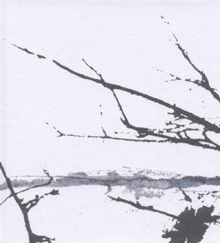 the album cover for Tenhi - Vare