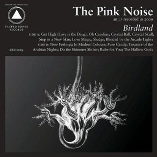 The Pink Noise- Birdland