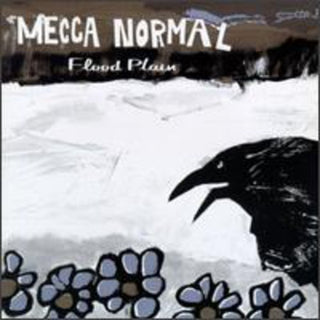 the album cover for Mecca Normal - Flood Plain