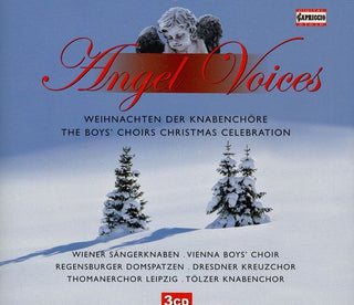 the album cover for Martin Flamig - Angel Voices: Boys Choirs Xmas Celebration / Various