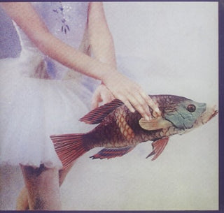 the album cover for Unknown Artist - Idioglossia