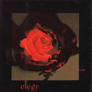 the album cover for John Zorn - Elegy