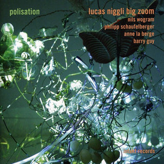 the album cover for Niggli - Polisation