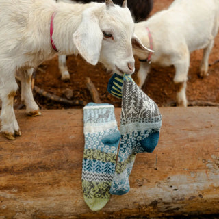 Solmate Goat Crew Socks