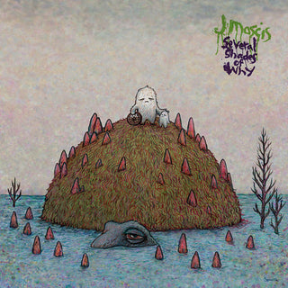 the album cover for J Mascis - Several Shades Of Why