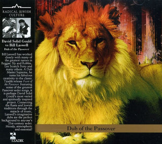 the album cover for David Gould Solid Vs Bill Laswell - Dub of the Passover