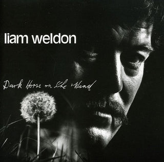 the album cover for Liam Weldon - Dark Horse on the Wind