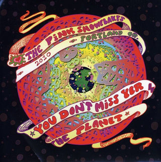 the album cover for Pink Snowflakes - You Don't Miss Your Planet