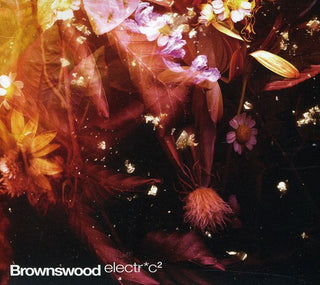 the album cover for Brownswood Electric - Vol. 2-Brownswood Electric