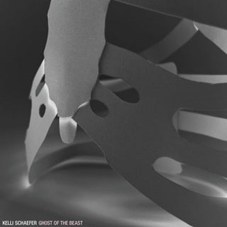 the album cover for Kelli Schaefer - Ghost of the Beast