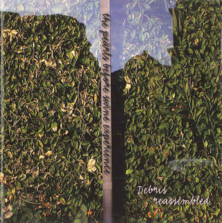 the album cover for Pearls Before Swine Experience - Pearls Before Swine