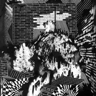 the album cover for Gross Ghost - Public Housing