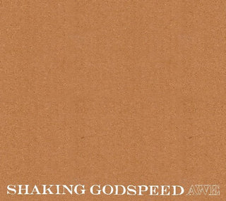 the album cover for Shaking Godspeed - Awe