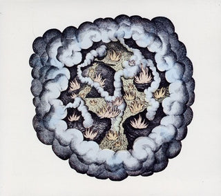 the album cover for Tw Walsh - Songs of Pain and Leisure